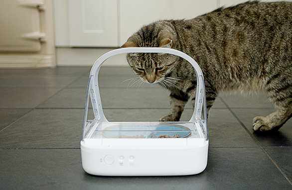 https://www.surepetcare.com/image.php?file=/media/products/_master/1/images/cat-approaching-mircochip-surefeed-feeder.jpg