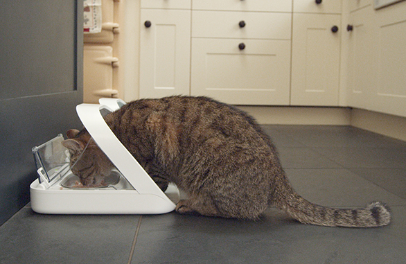 The SureFeed Microchip Pet Feeder from Sure Petcare