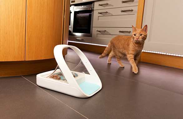 The SureFeed Microchip Pet Feeder from Sure Petcare