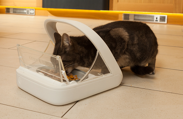 The Surefeed Microchip Pet Feeder From Sure Petcare