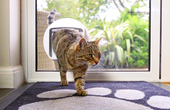 Sureflap Dualscan Microchip Cat Door For Multi Cat Homes