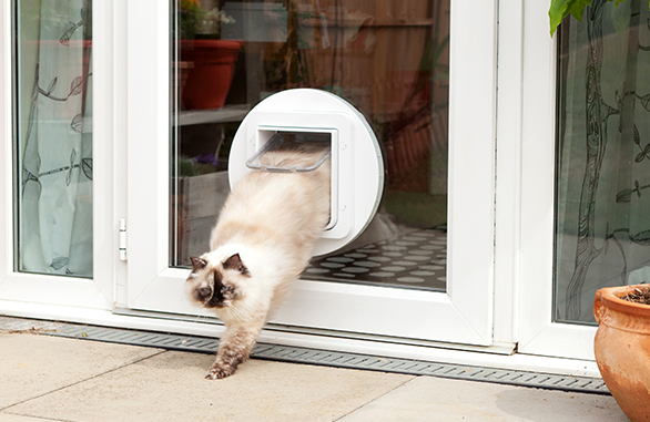 The SureFlap Microchip Pet Door for large cats & small dogs