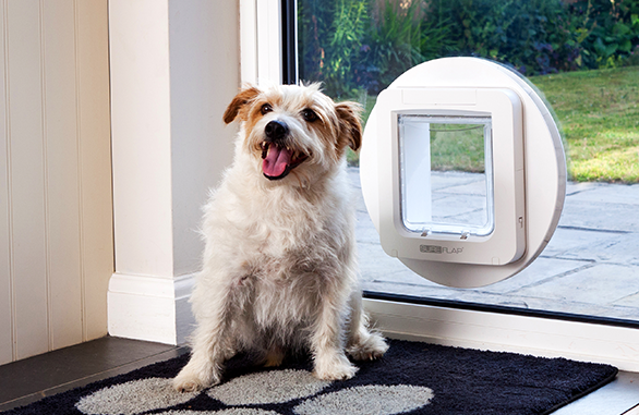 The SureFlap Microchip Pet Door for large cats small dogs