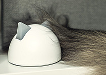 Hub next to Lucie the cat's tail