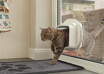 cat-through-mircochip-dualscan