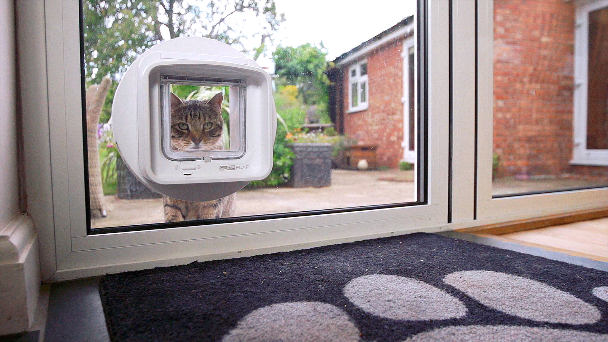 microchip cat flap for glass door