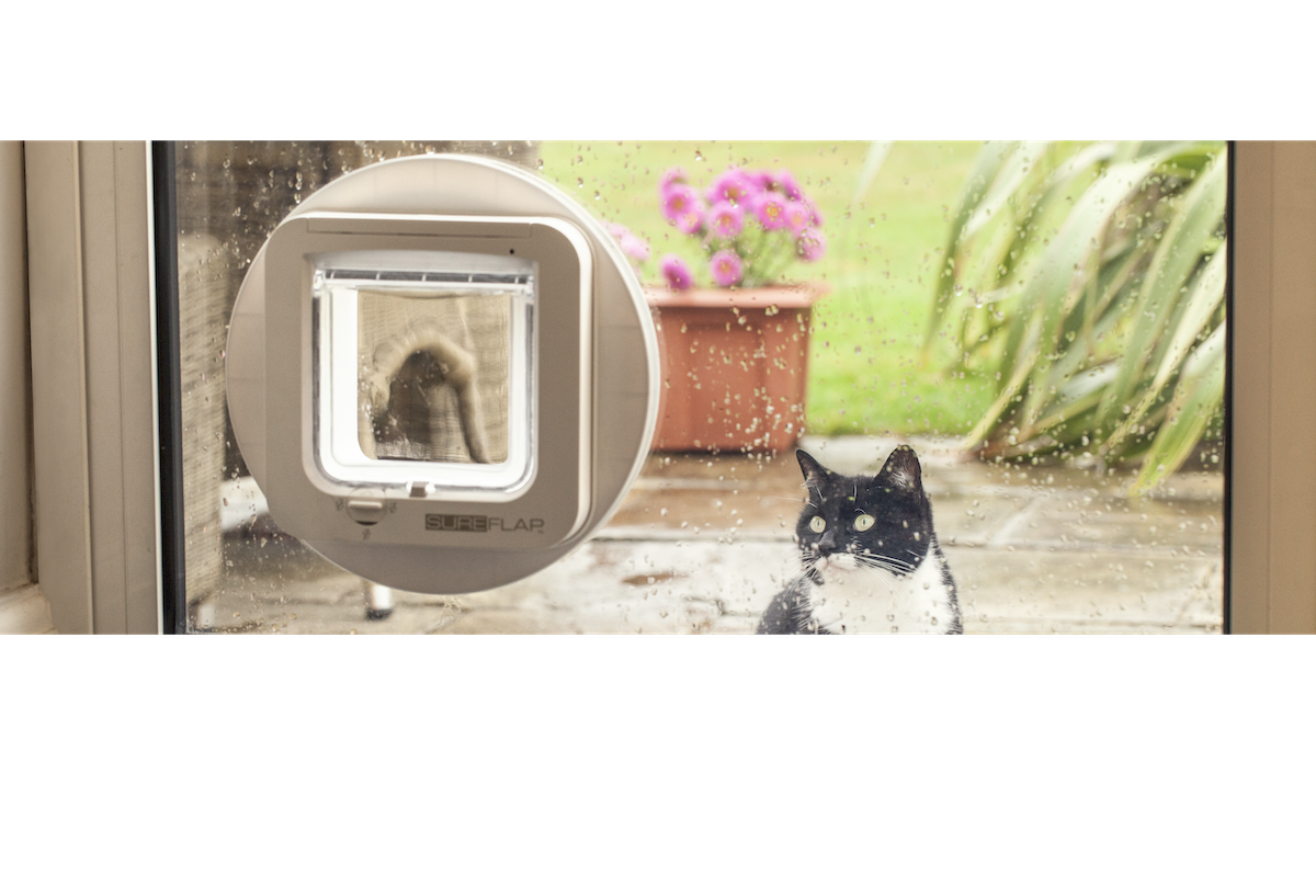 why-should-i-use-a-microchip-cat-flap