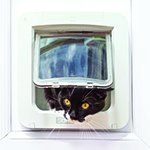 Keep track of your cat’s comings and goings