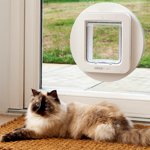 Where is the best place to install a cat flap?