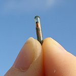 Microchipping your dog - permanent pet identification