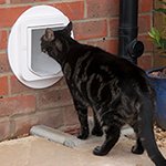 How to train a cat to use a cat flap