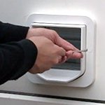 5 steps to a successful cat flap installation